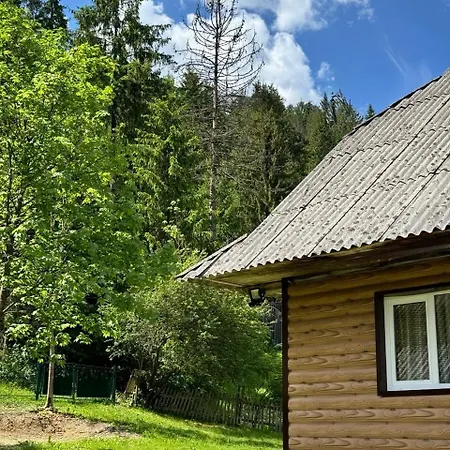 Апартаменти Svitanok