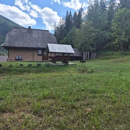 Svitanok