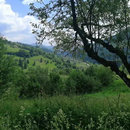 Svitanok * Lopushnoye