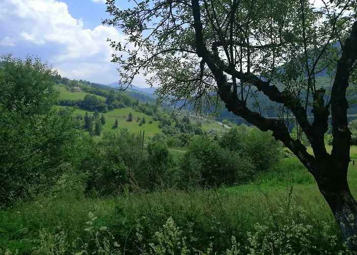 Svitanok * Lopushnoye