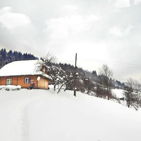 Svitanok Apartment *