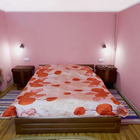 Svitanok Apartment *